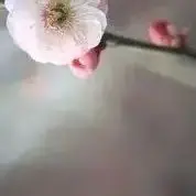 

2S2P Battery Pack 18650 Lithium-ion Battery 4800mAh 7.4 V, Suitable for Headlights/CCTV/cameras