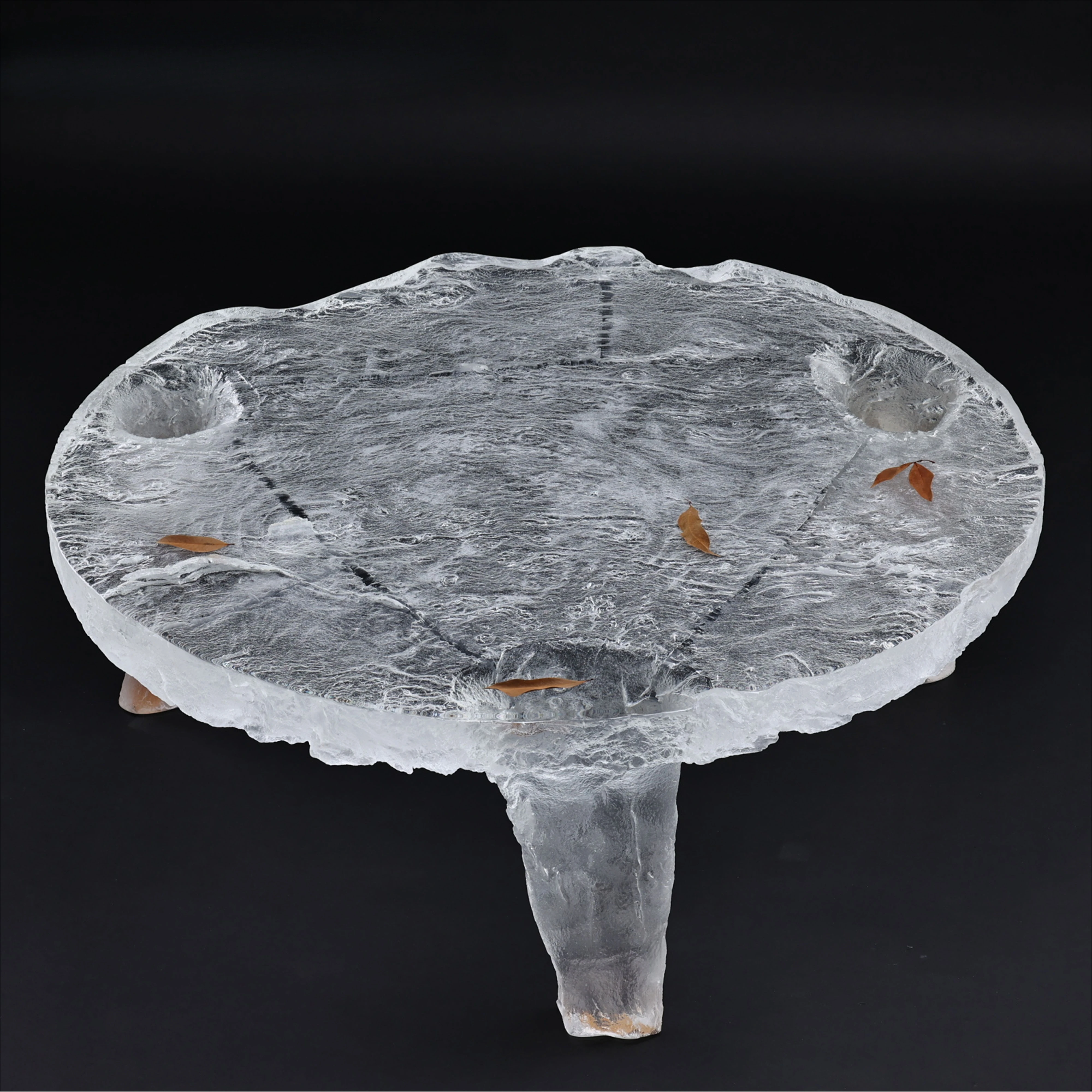 High Quality Luxury Translucent Art Low Table Embedded, Real Dried Plant Acrylic (Non-Epoxy) Living Room Furniture