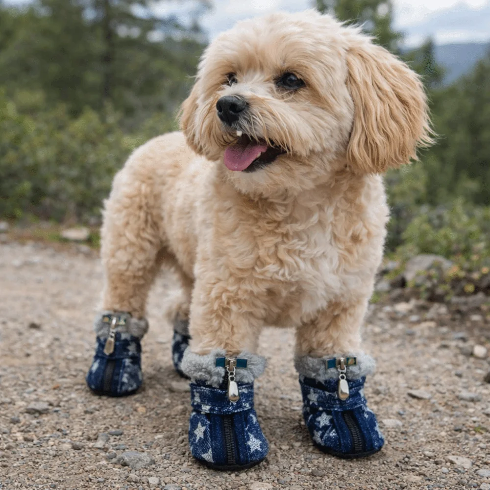 4 pieces/set Warm Dog Snow Boots Anti Slip Wear-Resistant Winter Dog Boots Comfortable Star Pattern Puppy Footwear Fall Winter