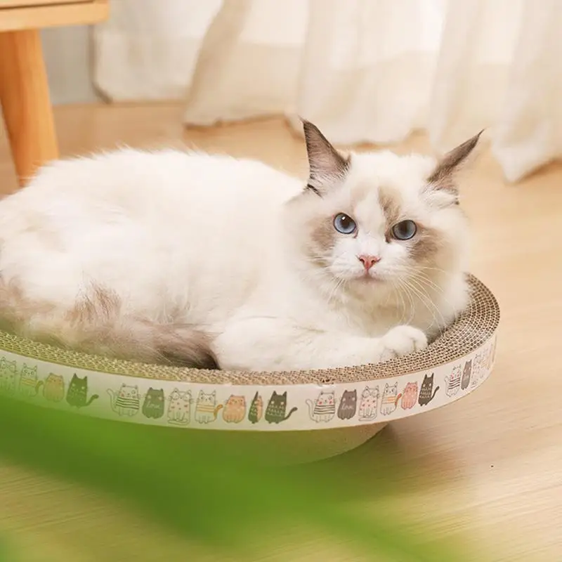 Imagem -04 - Cat Scratcher Bowl Bed Protetor de Sofá Portátil Oval Corrugado Scratch Pad Brinquedo Cat Scratcher Protetor de Móveis Suprimentos de Gatos