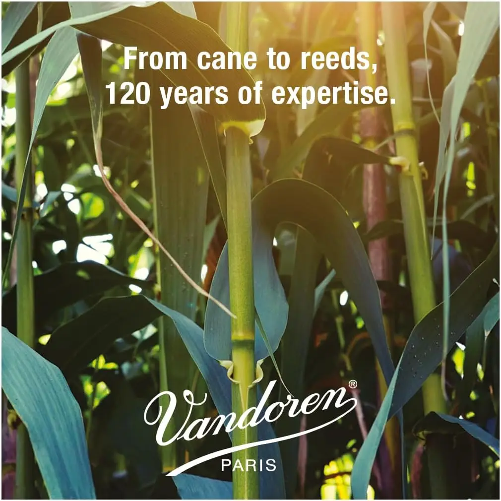 Alto Saxophone Reeds Strength 2.5, Box of 10 - Premium Quality for Smooth Sound