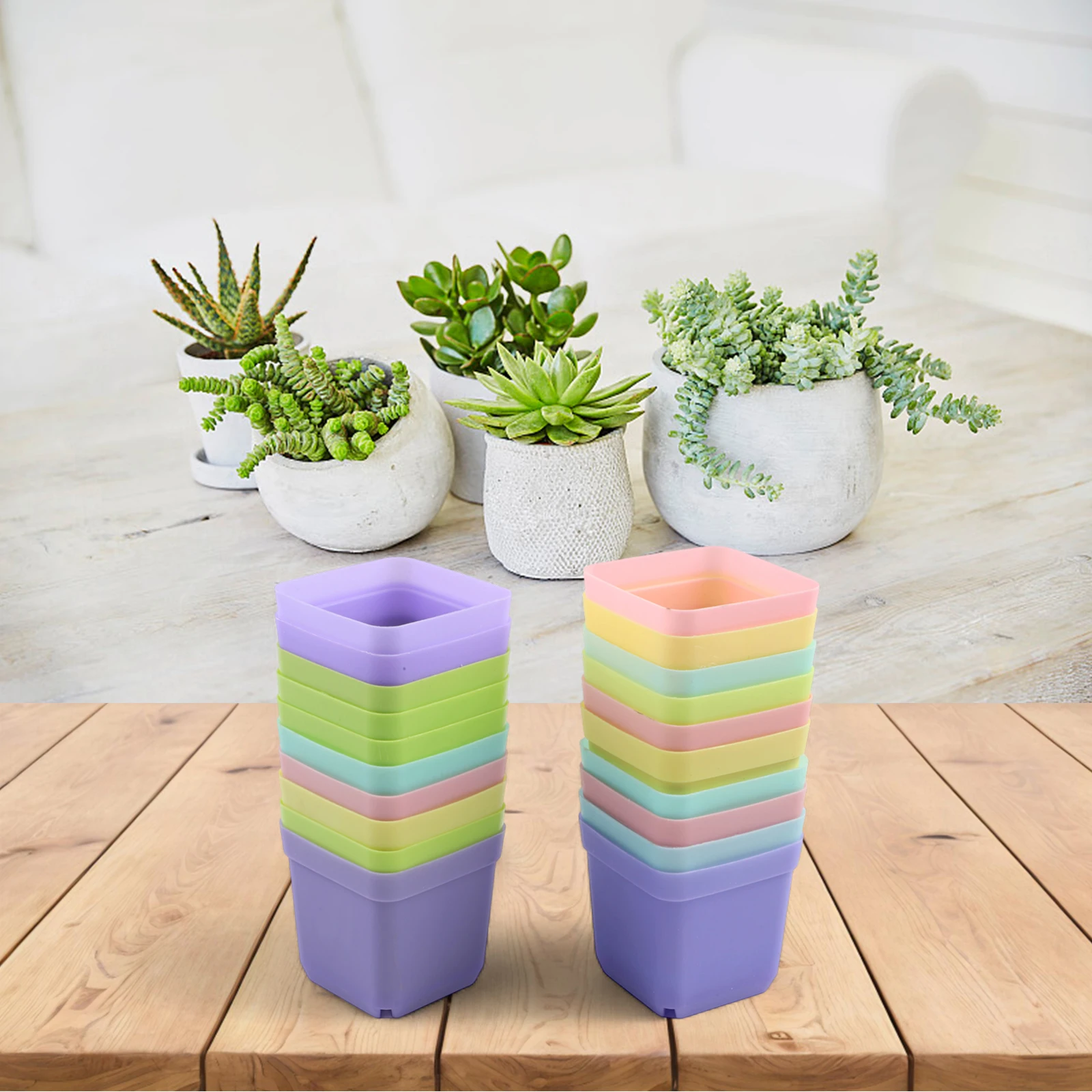 20 szt. Kwadratowych mini doni – Succulent Arrangement Mini recenzja i cena