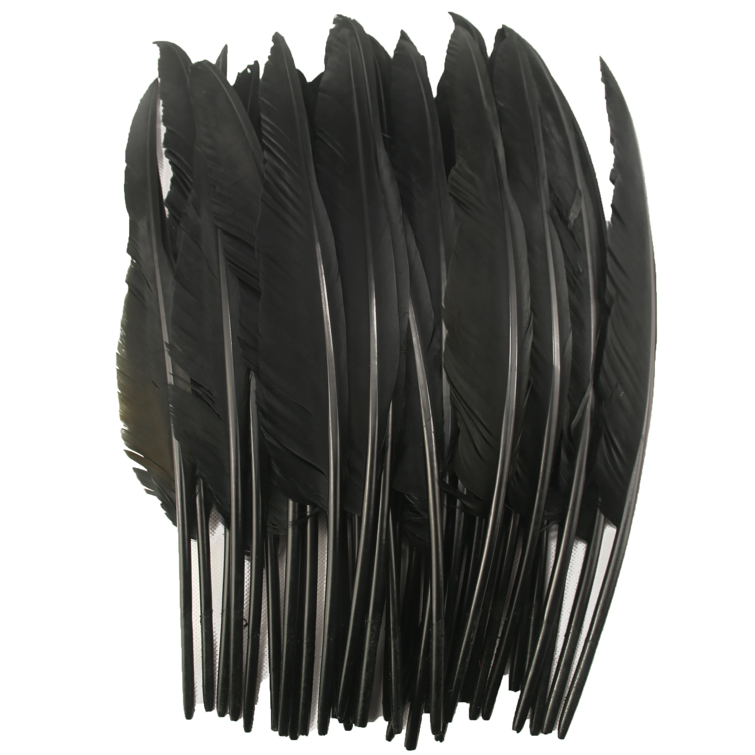 

black Color Turkey Plumes, Large Quill Feathers for Fashion Decorations, 14-16Inch, 10-100 Pcs Lot