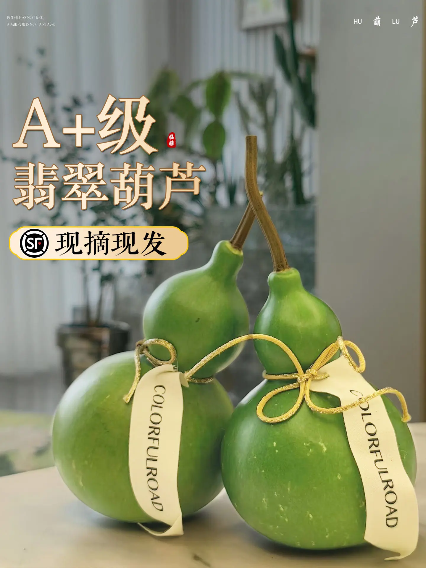 Jade-Kürbis-Ornament aus Yunnan, Natürliche Frische Bergamotte, Frische Frucht-Pflanze, Dekoratives Tisch-Ornament, Fuluwen-Zitronenschale – Detail 1