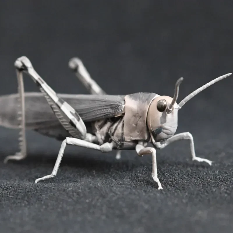 Bandai Marienkäfer Grasshopper Gashapon Realistische Insektenfiguren Entomologie Schreibtischdekoration Klassische Sammlergeschenkserie Ornamente