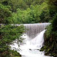 HGLRC SPECTER 1404 2750KV/4800KV 4-6S Brushless Motor for FPV Freestyle 2inch Cinewhoop 4inch Toothpick Drones