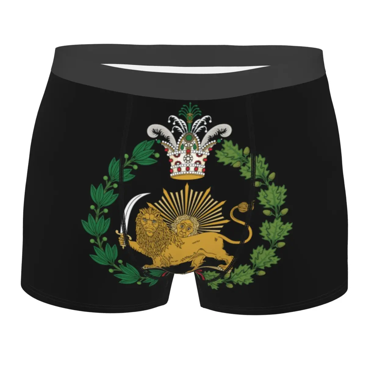 

Custom Iran Iranian Flag Lion Underwear Men Stretch Boxer Briefs