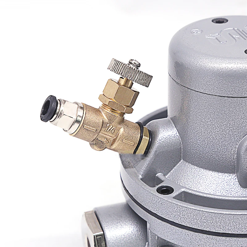 Air-operated Single Way Diaphragm Pump 15L/min Pneumatic Diaphragm Pump for ink pumping Ink Printing Machine