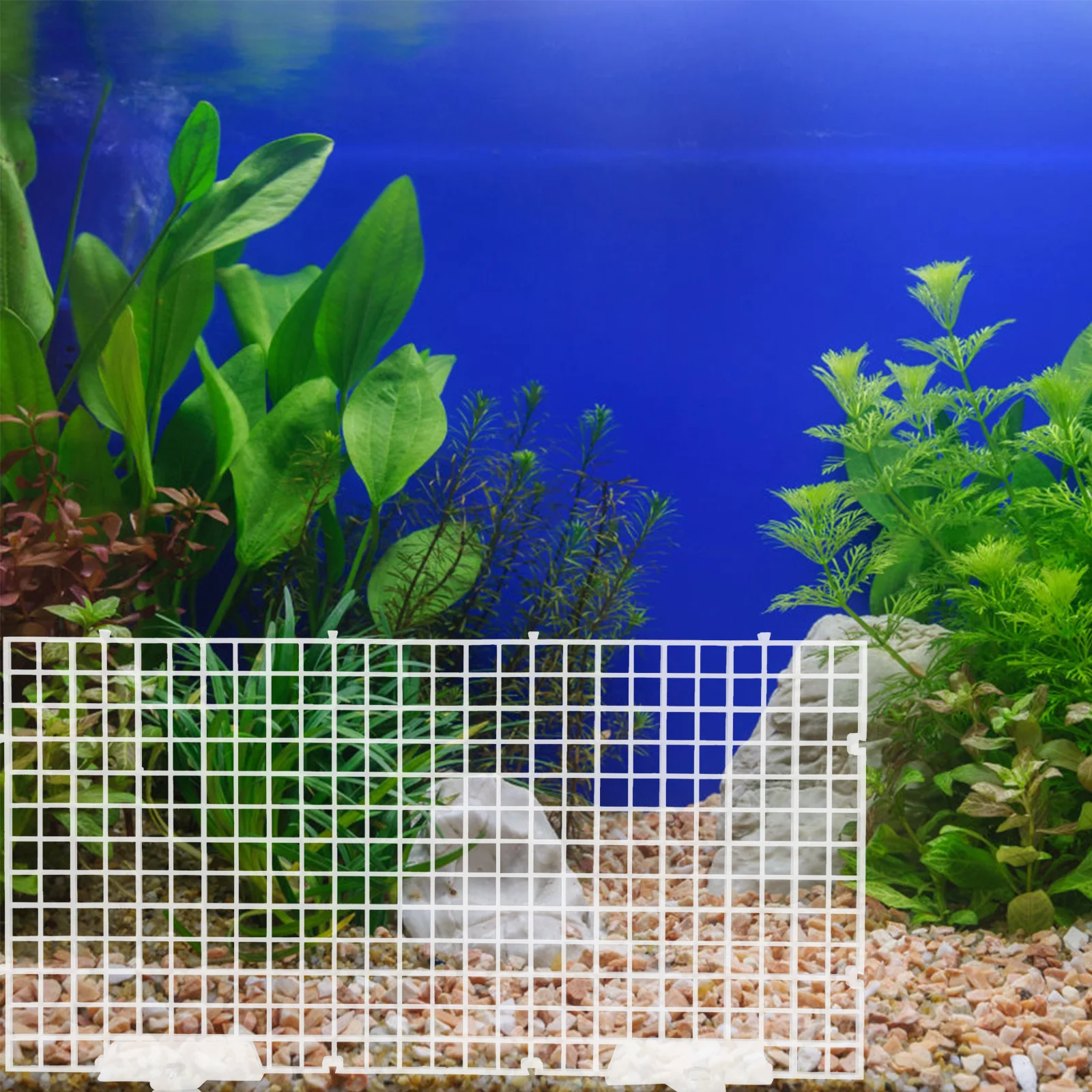 

1 Set Bottom Filter Grid Plate For Aquarium Fish Tank Pp Material Smooth Edge Splicing Design Expandable Fish Tank Isolation