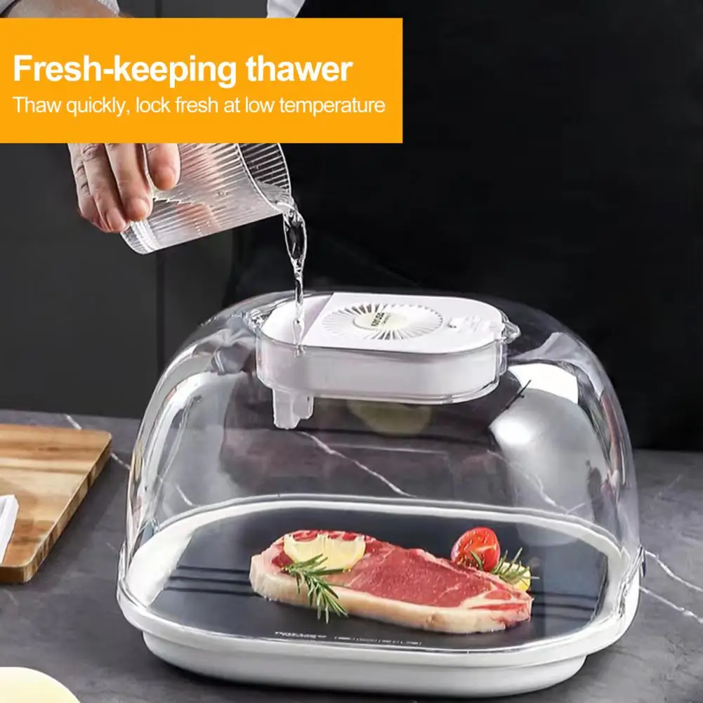 

Steak Quick Thawer Aluminum Alloy C-type Charging Port Thawer Defroster Quick Thaw Atomization Preservation Food Defrosting Tray