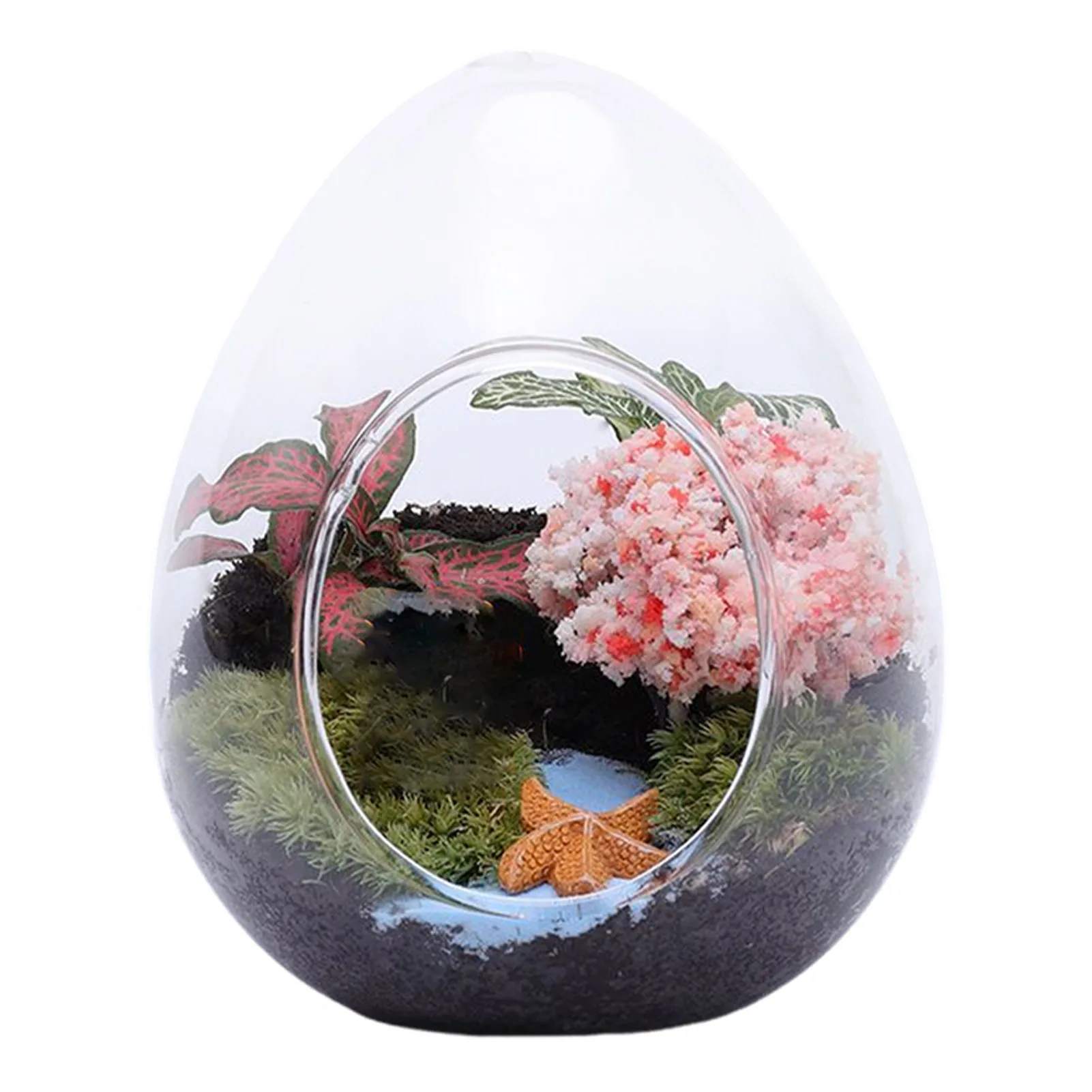 Creative Egg-shaped Glass Bottle Glass Vase Hydroponics Fleshy Micro-landscape Glass Fish Tank Moss Home Decoration