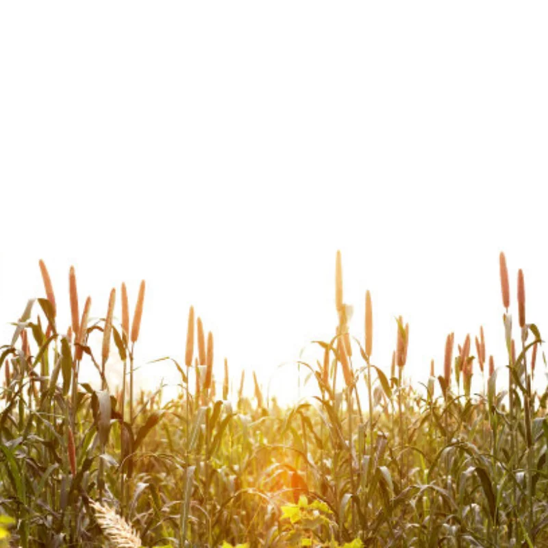 

Для ARRMA 1/7 INFRACTION 6S BLX-ARA109001 держатель подставки для заднего крыла из алюминиевого сплава