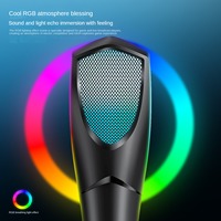 New Desktop Upright  USB Condenser Microphone  Gaming Microphone RGB Computer Cell Phone Microphone Simple Live Mic