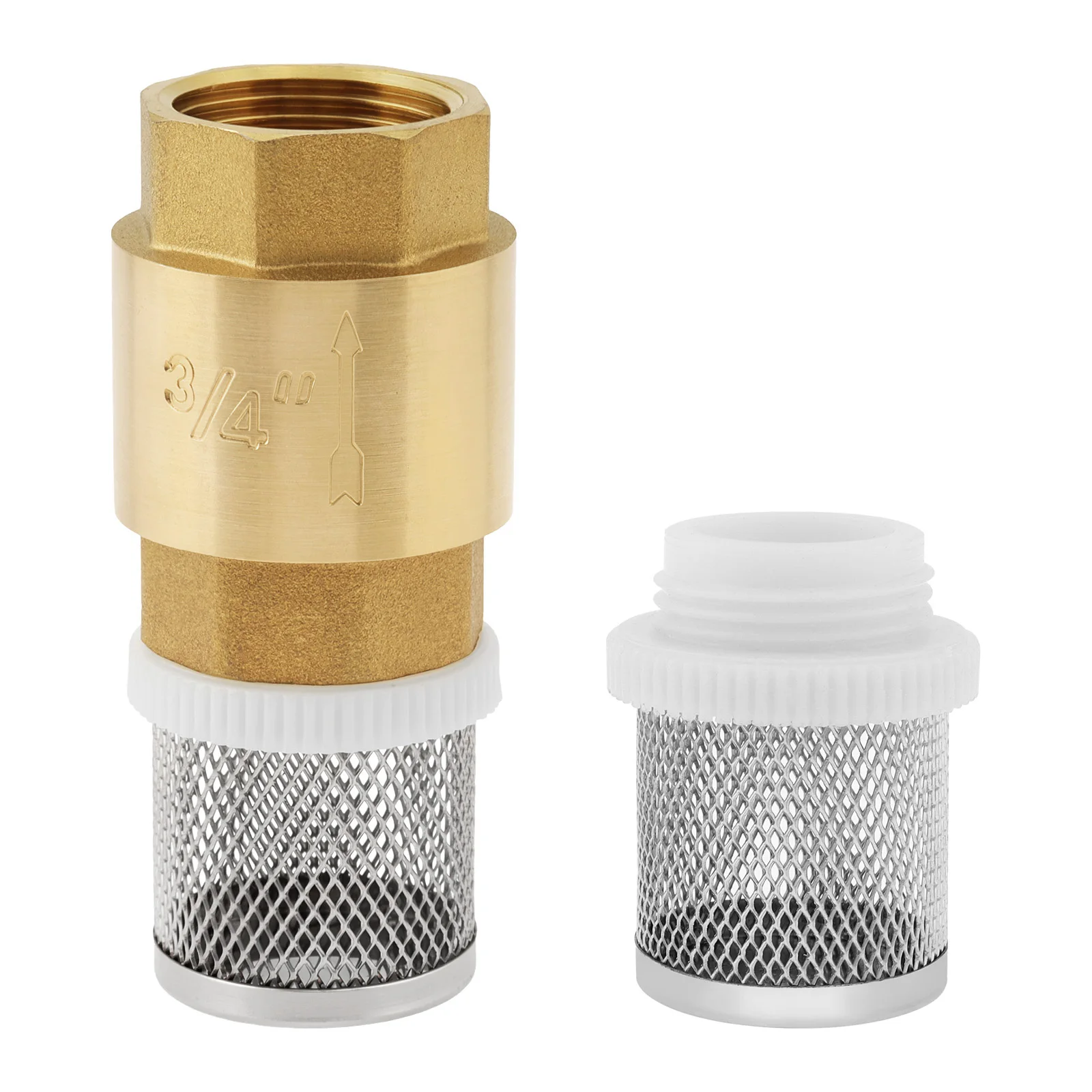3/4 in Spring-Loaded Vertical Foot Check Valve with Built-in Filter