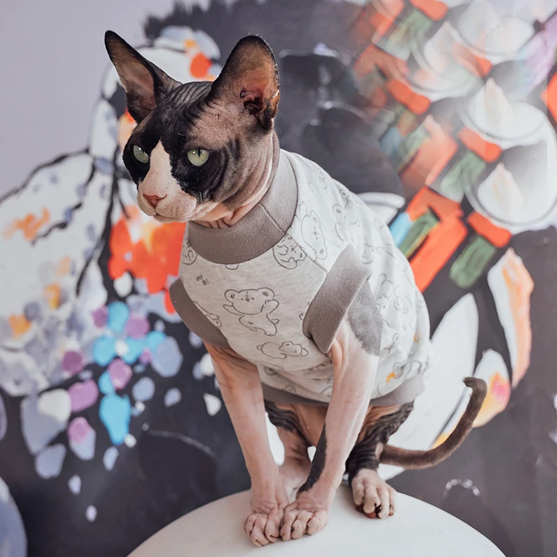 Roupas macias e quentes para cães e gatos, moletons felinos, camisa para trajes de Sphynx Devon Rex, roupas de outono e inverno