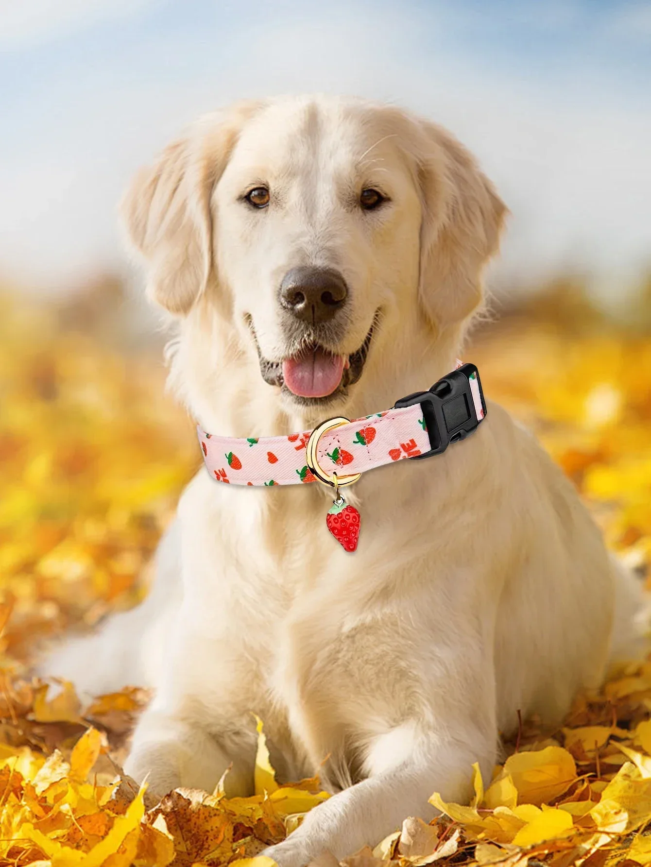 CP611 Pet Dog Puppy Cat Fruit Pattern Collar with Metal Fruit Pendant Applicable To Small Medium Pet