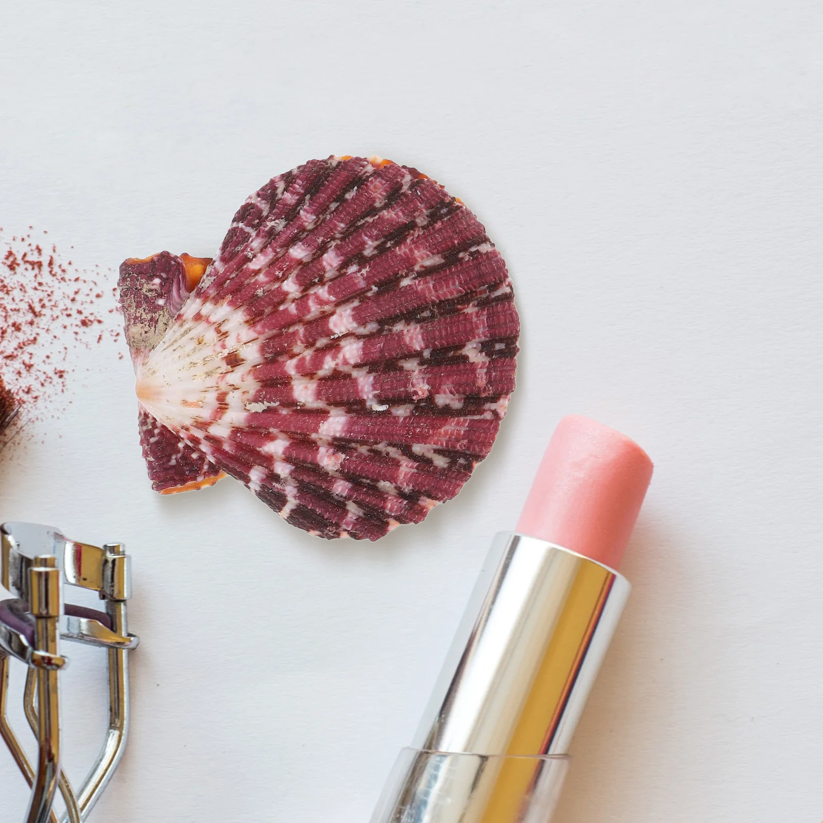 

2Pcs Shell Jewelry Box Mini Seashell Trinket Case Ring Earrings Necklace Storage Decorative Organizer Container