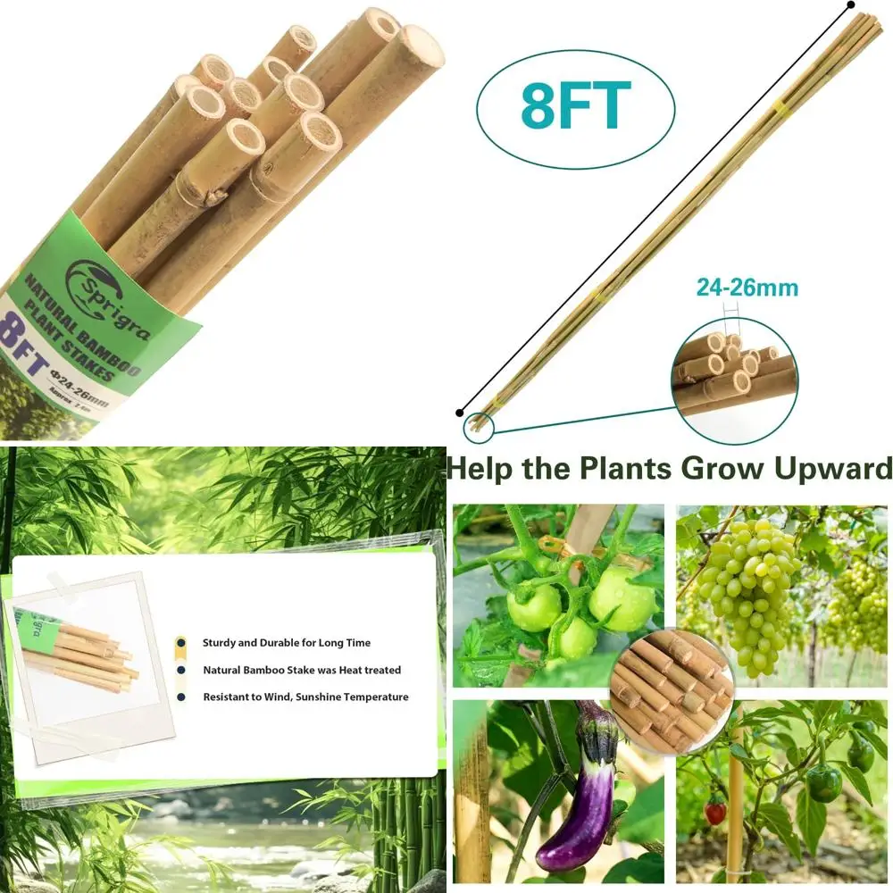 

Многоцелевые бамбуковые садовые колья на 8 футов для поддержки растений — идеально подходят для помидоров, фасоли, огурцов и перцевых растений