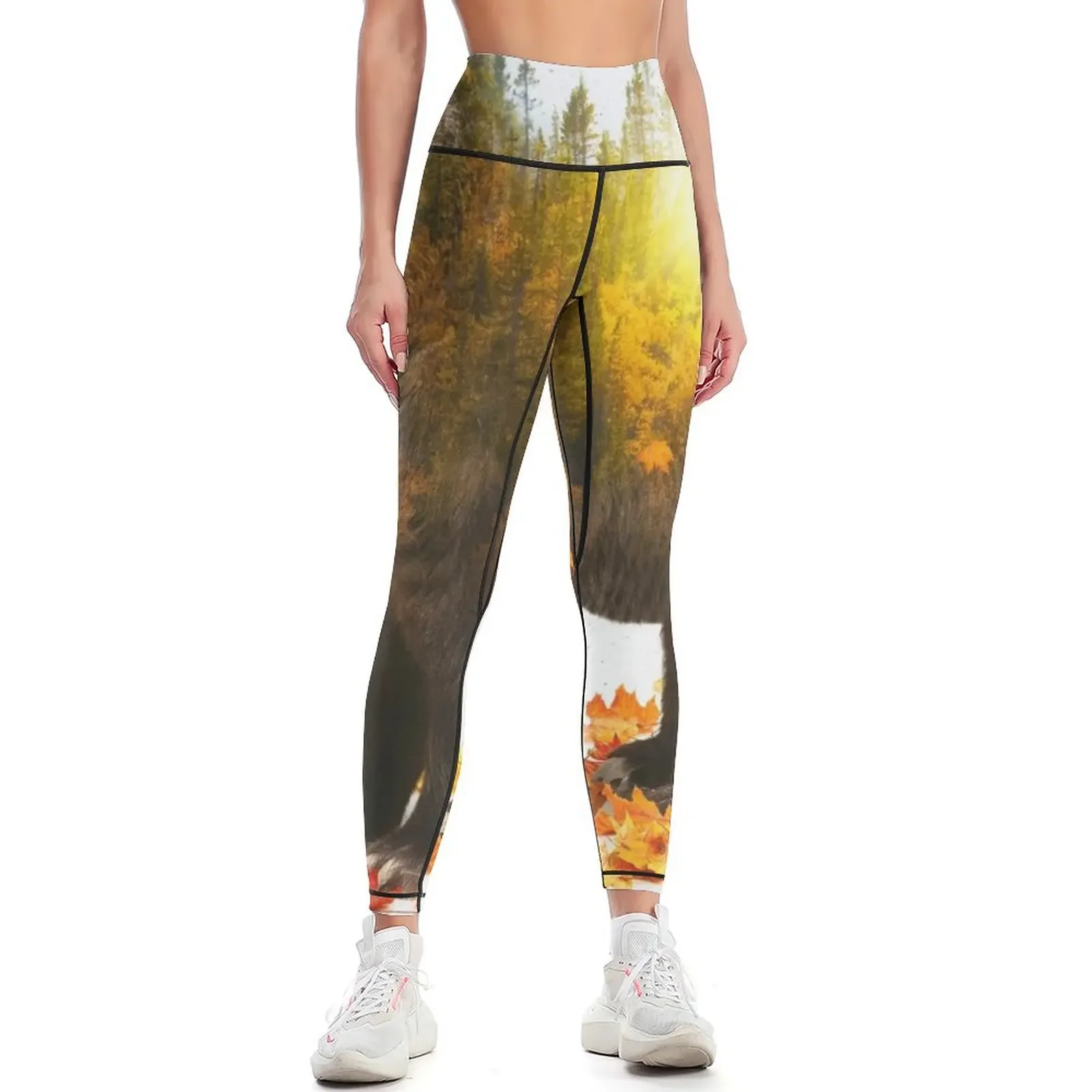 

Equinox Bear Leggings gym top Fitness's gym clothes Legging sport legging push up Womens Leggings