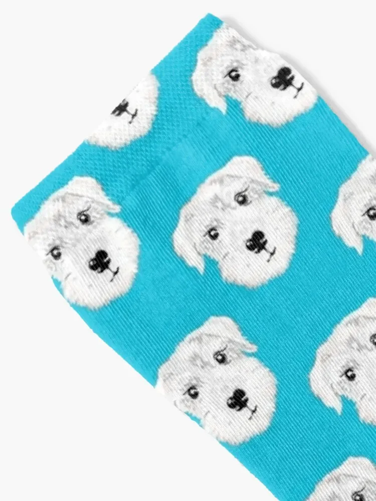 Ted the White-Conjunto de calcetines de algodón para hombre y mujer, medias deportivas para correr, para cachorros y perros, Schnauzer en miniatura