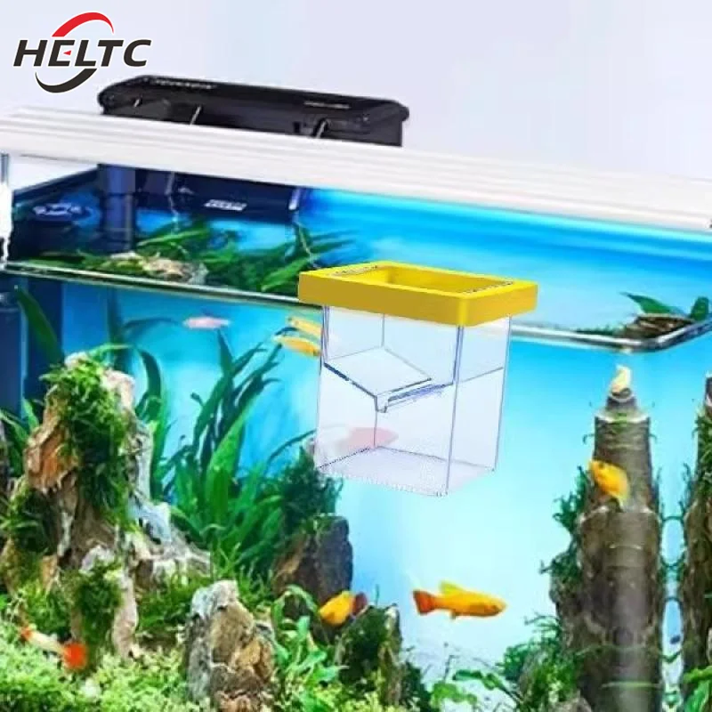 baby fish box Fish Breeding Isolation Box 15x25.5cm Green White