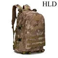 HLD