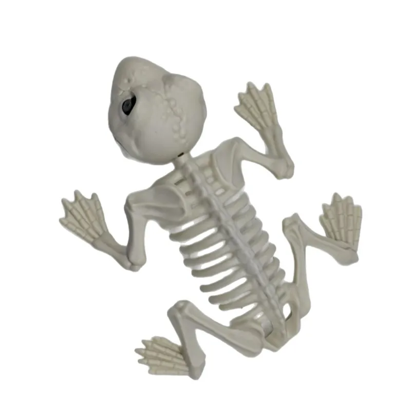 جديد تجهيزات حفلة الهالوين الضفدع الهيكل العظمي الدعائم زينة محاكاة ساخرة الضفدع الهيكل العظمي نماذج للحيوانات اكسسوارات سطح المكتب الحلي