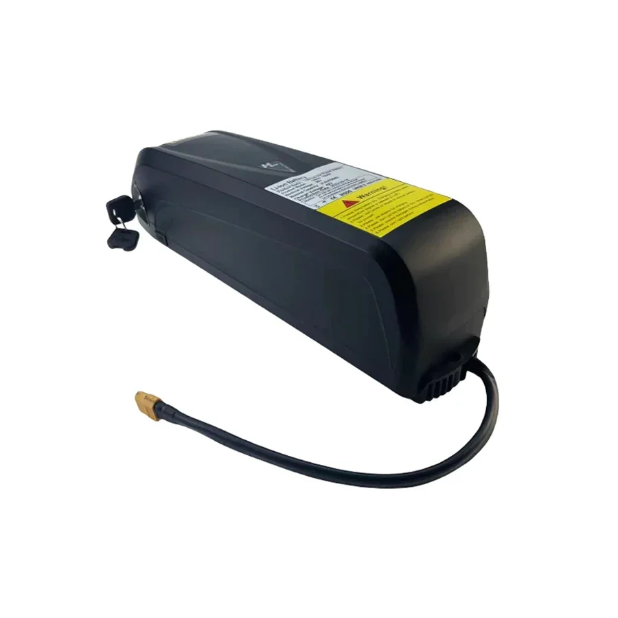 Batterie lithium-ion adaptée à Hailong 18650, 48V, 30Ah, avec chargeur dédié