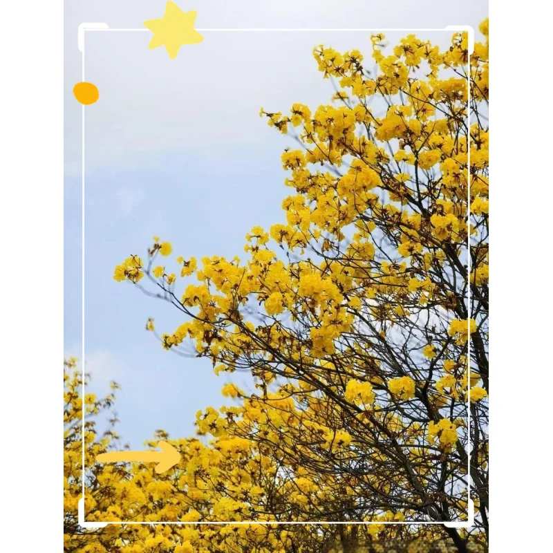 Rechargeable Contro…