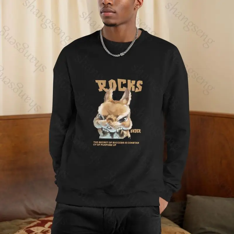 

Animal rabbit Cartoon Sweatshirt Top Spring Autumn Men's Sweatshirt Printed Long Sleeve T-shirt Fashion Men's O-neck Harajuku