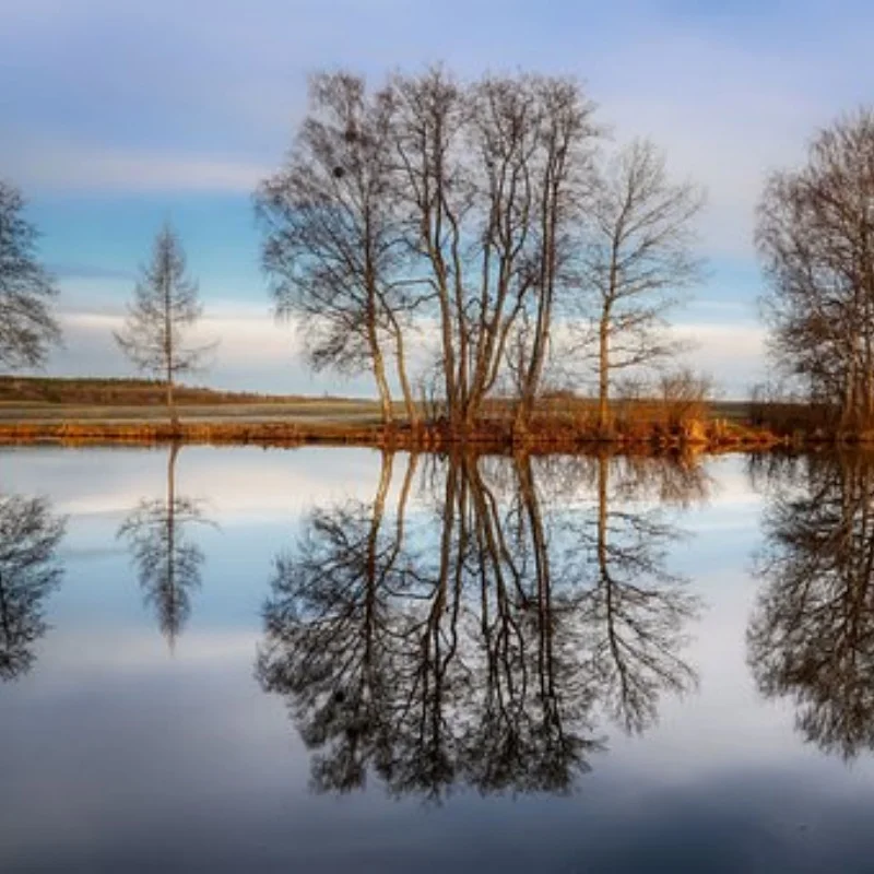 4 szt. opon 117 mm 1/8 RC do buggy terenowego z felgami i mocowaniem sześciokątnym 17 mm do ARRMA Typhon Talion Redcat Team Losi Kyosho HPI WR8 HSP RC Car