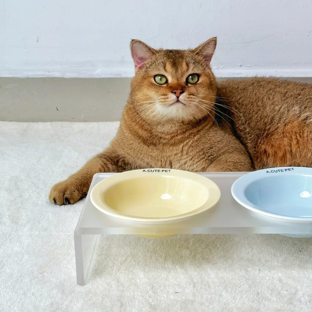 Ceramic Elevated Cat Bowl Solid Color Acrylic Bowl Rack Bowl Stand Holder Large Diameter Tilted Adjustable Pet Double Food Bowls - view 3