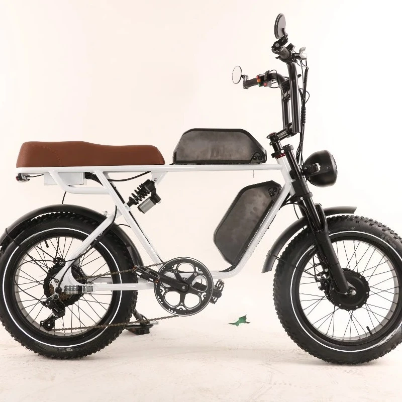

SXLL 500W 750W super electric bike can double motor and dual battery electric fat tire bike