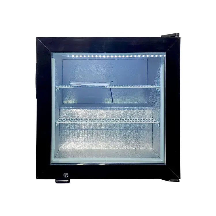 55 liter -25 degree sub zero ice cream display beverages freezing summer small freezer on sale