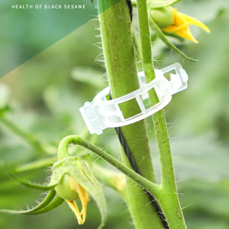 20pcs Clip Plant Clip Grape Tree Plastic Bracket Connection And Binding Clip Garden Tomato Hook Bracket Support Tool