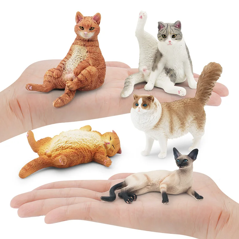 Gesimuleerde Huisdierenserie Ragdoll Gember Kat Model Actiefiguren Schattige Siamese Kat Miniactuur Beeldjes Ornament Educat Speelgoed Kid Cadeau