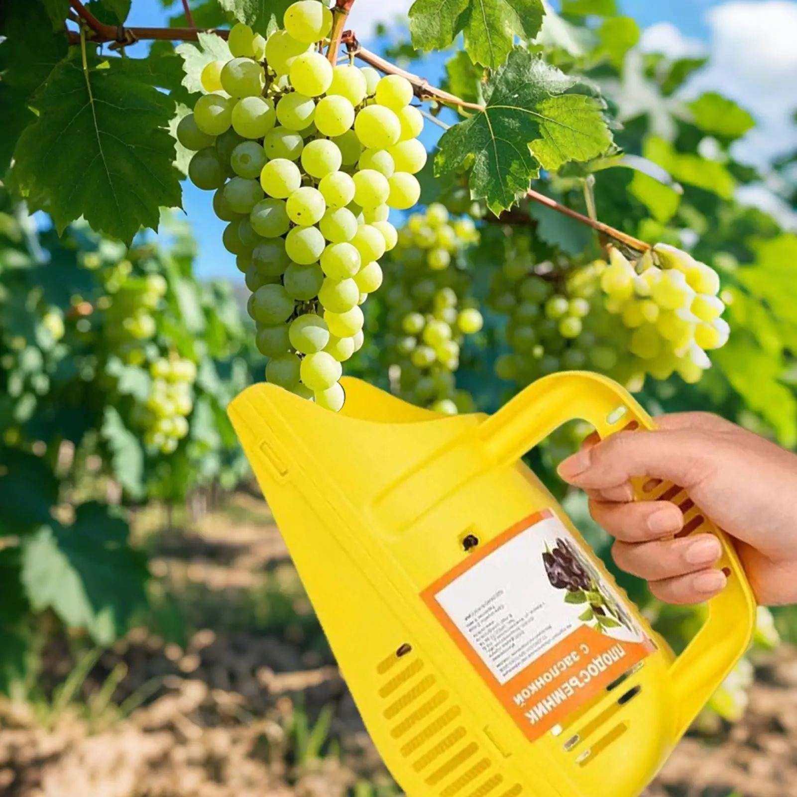 

Ягодный сборщик Ягод и грабли Эргономичный садовый инструмент Эффективные грабли с расческой для ферм Малина Сады Черника