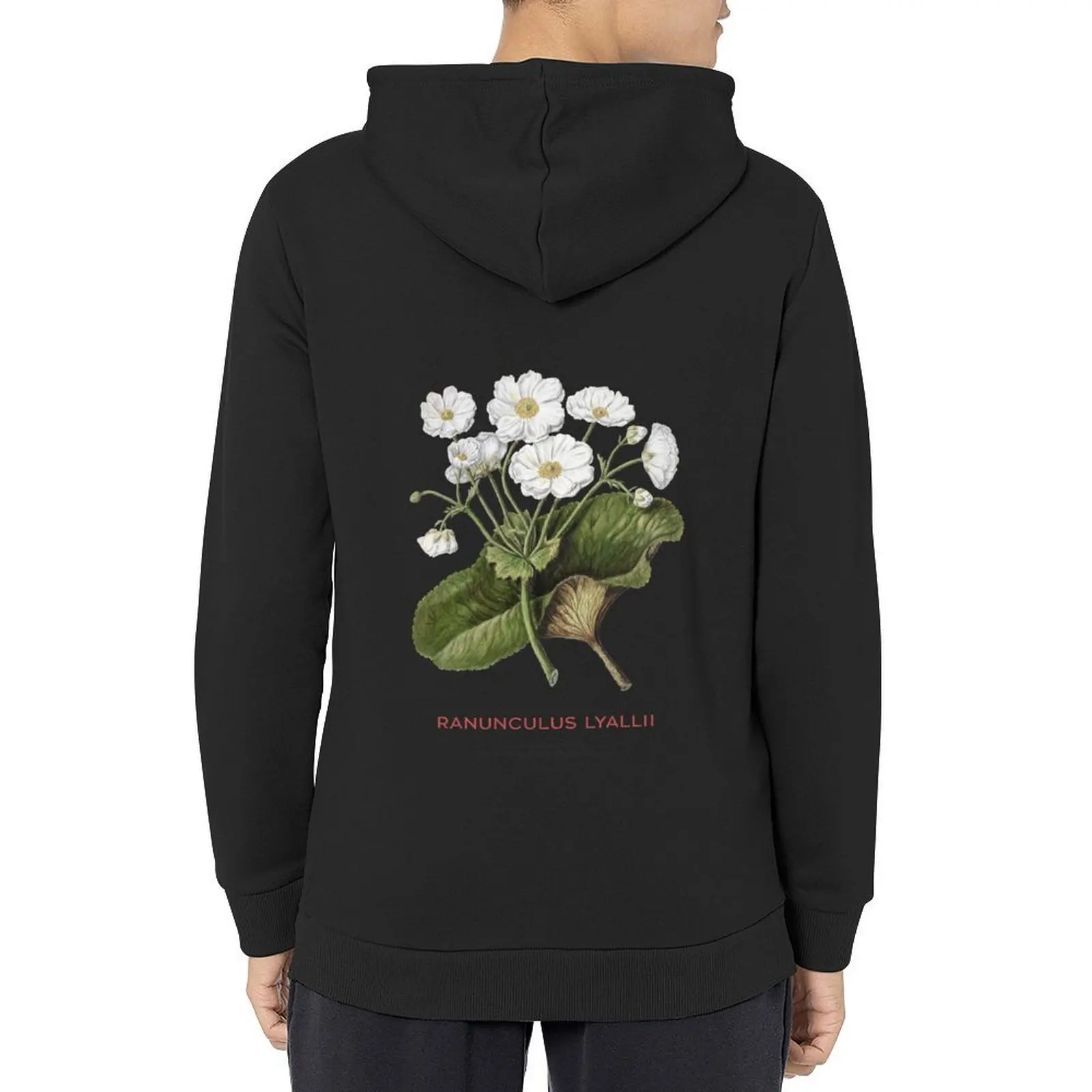 

Mount Cook lily or Ranunculus lyallii Hoodie autumn men's autumn clothes korean autumn clothes korean clothes mens hoodies