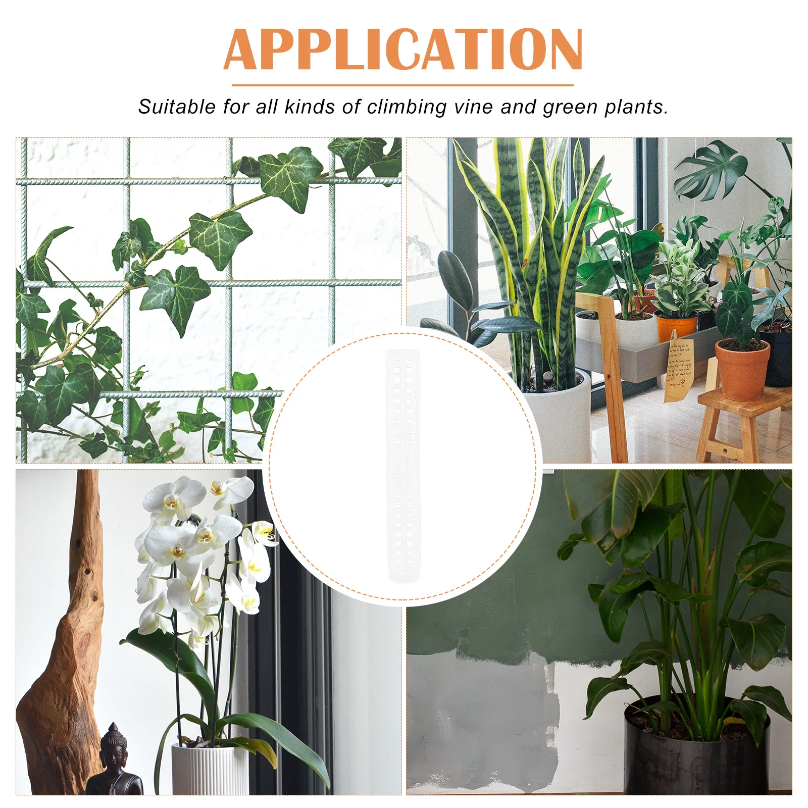 

4pcs Climbing Plant Support Column Plastic Garden Vine Stand For Plants Supporter Moss Pole Growth Extension Tool Gardening