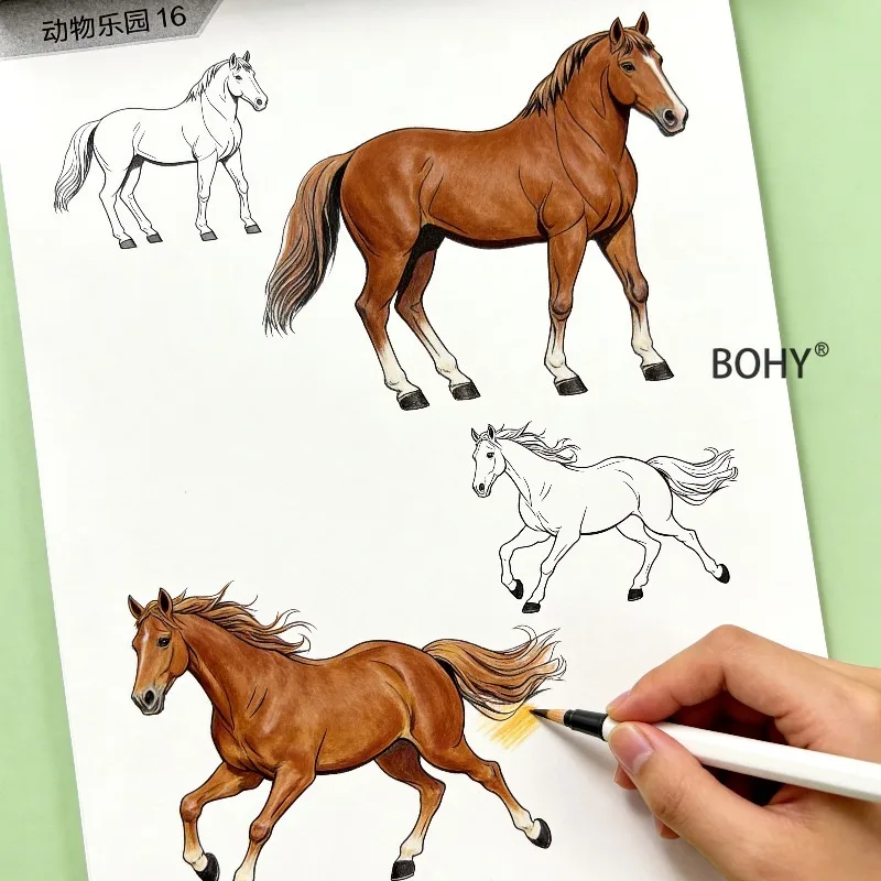 1 Animal Sketching and Coloring Book, 24 Pages, Zero Foundation Animal Painting Practice, Home Leisure Hand Drawing, Good Gift