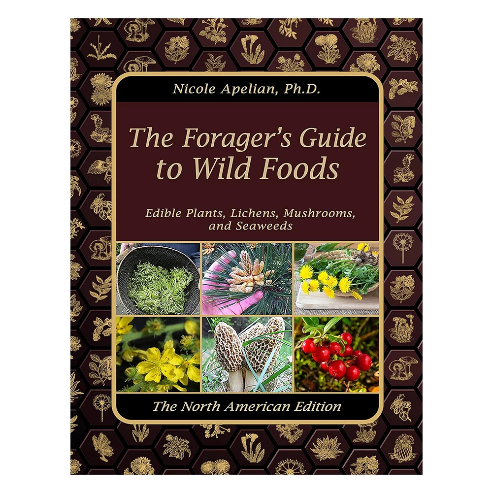 The Foragers Guide To Wild Foods Guide Book To Wild Foods A Foragers Guide To Identifying Wild Foods Guide To Edible Wild Plants