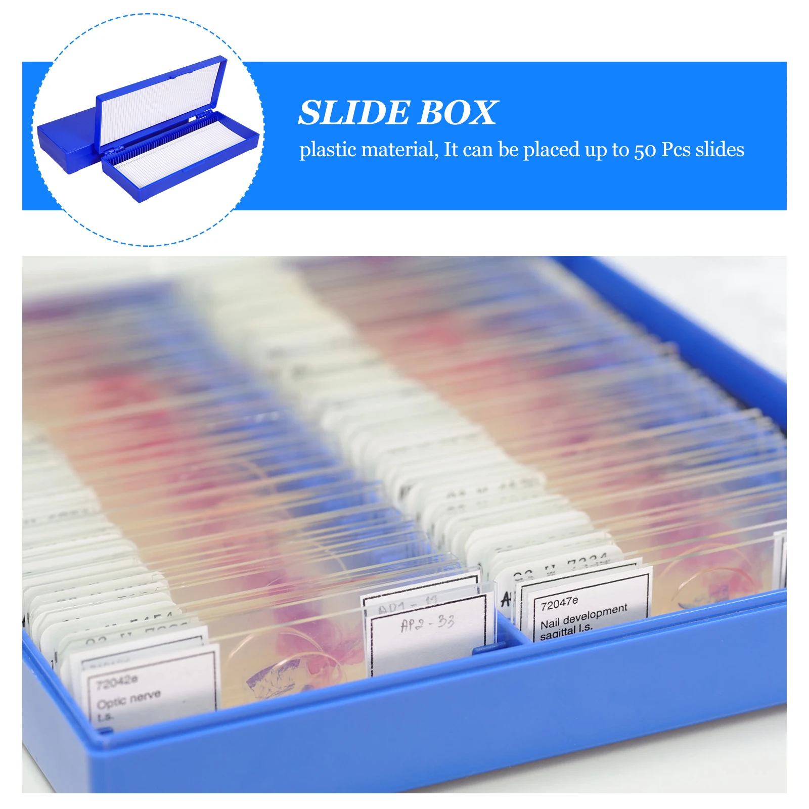 

2pcs Slide Cases High Quality Plastic 50 Slots Pathological Slide Storage Box With Numbered Holder Inventory Sheet Top Hinged