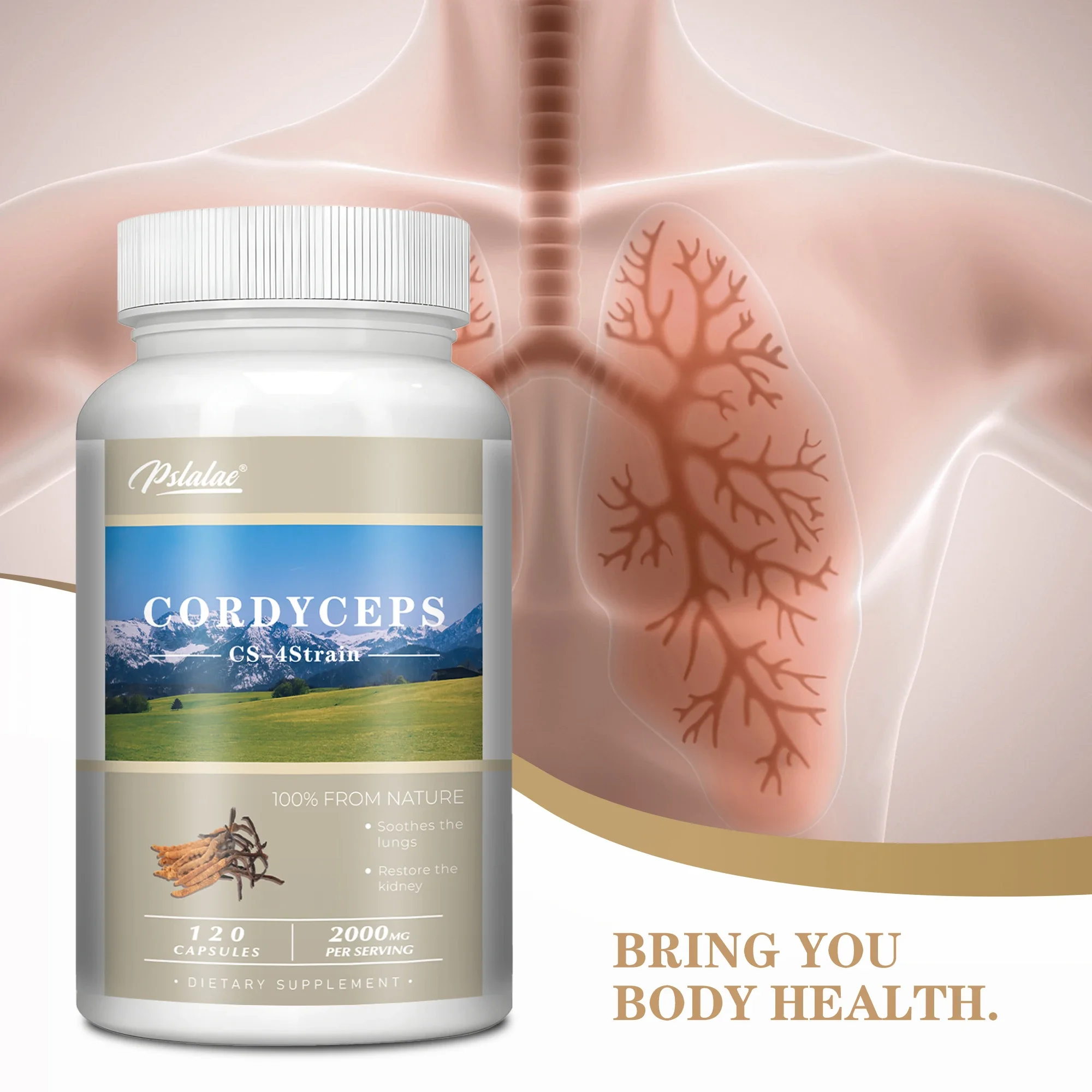 

Natural Cordyceps Capsules - Supports Heart and Kidney Health, Improve Energy Levels, Enhance Memory and Concentration