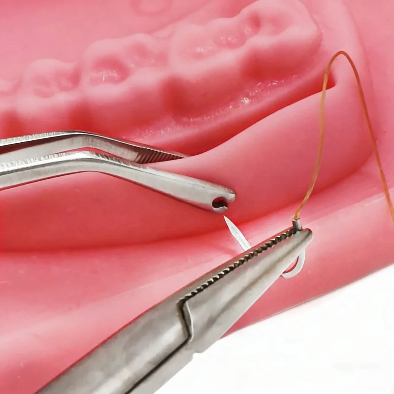 Dental Surgical Stitching Tweezer Cotton Dressing Forcep Suture Tweezer Serrated Tip With Hole Surgical Needle Tweezers