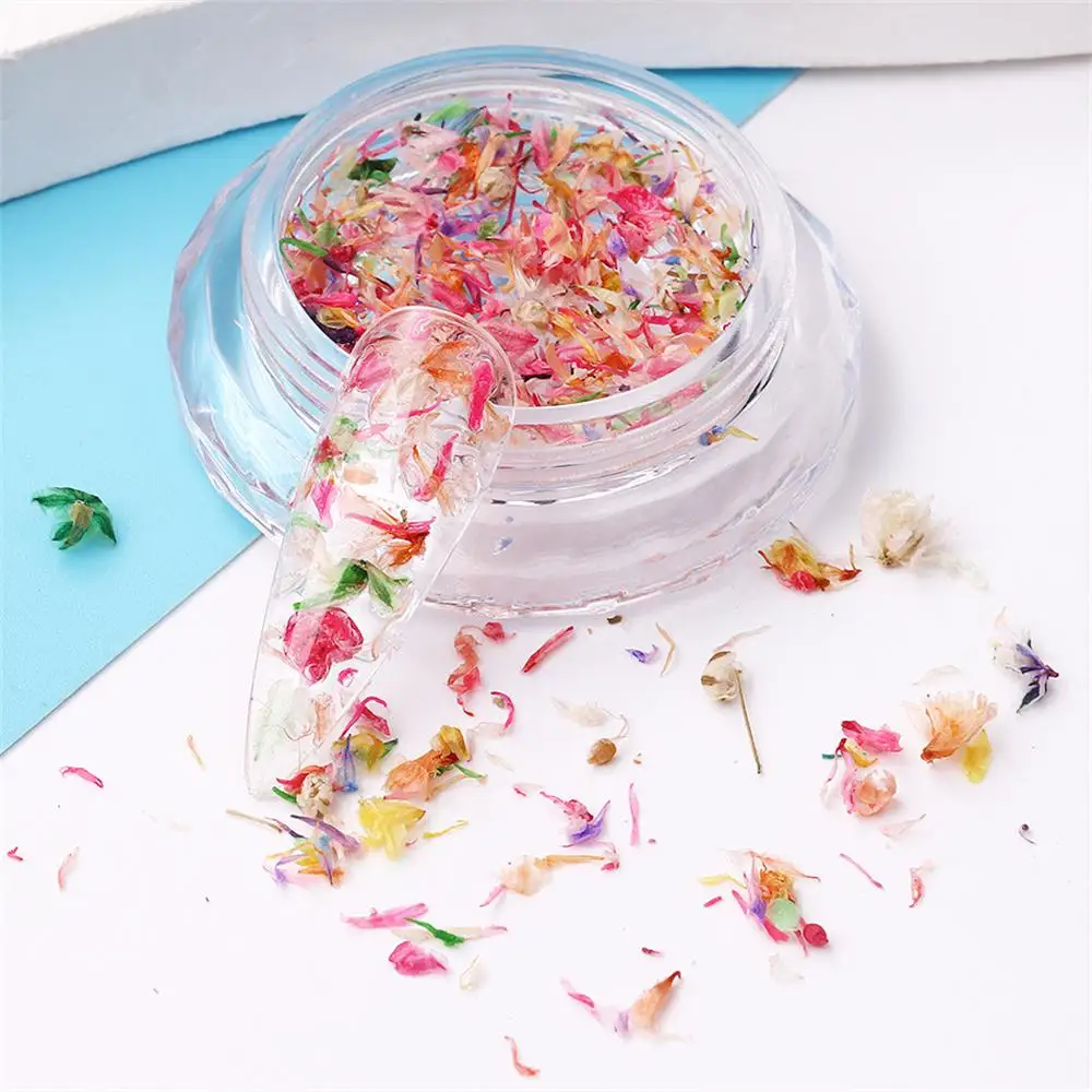 เครื่องประดับกลีบดอกไม้เครื่องมือทำเล็บหลากสีสำหรับตกแต่งเล็บเจลทาเล็บ