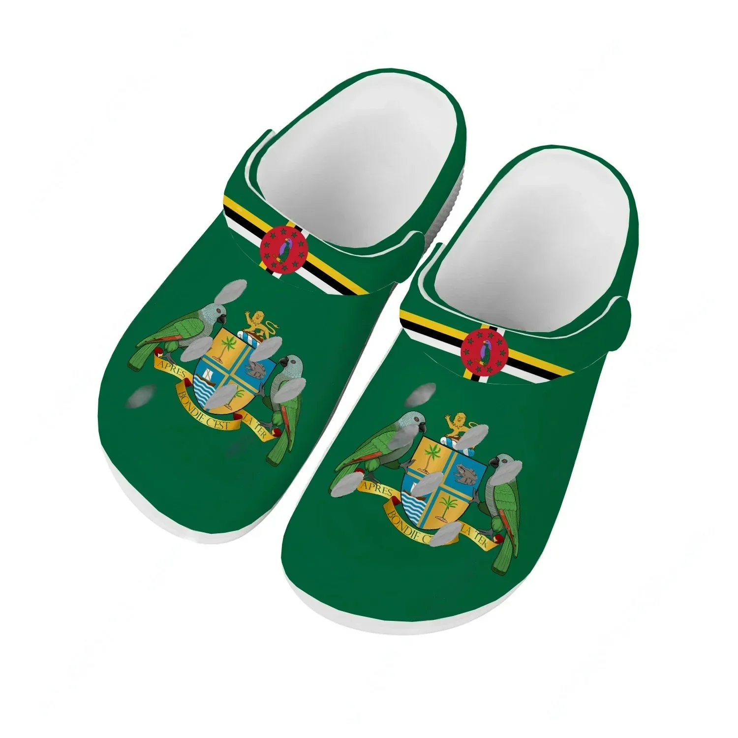 

Водные тапочки-сабо унисекс для дома и сада, дышащие, с отверстиями, для пляжа, с возможностью индивидуального дизайна, коллекция Commonwealth of Dominica