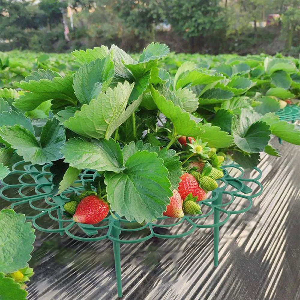 Soporte de marco de soporte de fresa, estante de plantación de balcón, soporte de fruta, planta, flor, vid trepadora, pilar de jardinería