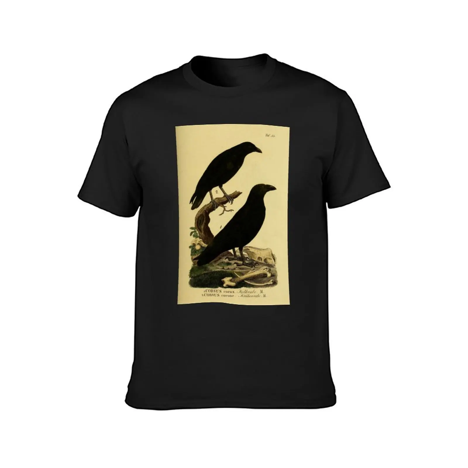 Crow And Raven T-Shirt korean fashion sublime new edition mens vintage t shirts