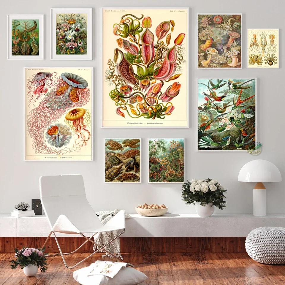 

Ernst Haeckel Biology Poster Print Nautical Sea Life By Floral Art Vintage Style Artwork Canvas Wall Pictures Home Decor