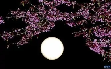 

Leather Car Key Cover Case Shell for Porsche Panamera Carman Macann Bobst Cayenne 911 970 981 991 996 Keychain Key Accessories